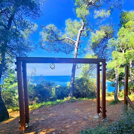 Secret Ingridients * 풀라