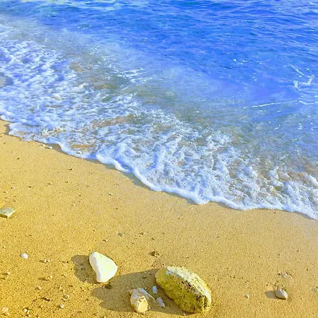 Secret Ingridients *