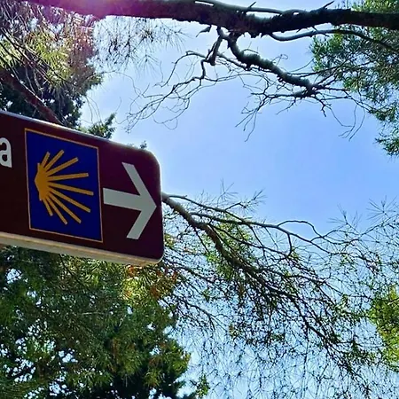 Secret Ingridients 아파트 *