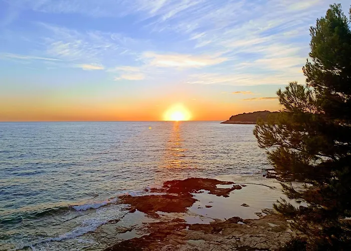 Secret Ingridients Διαμέρισμα *